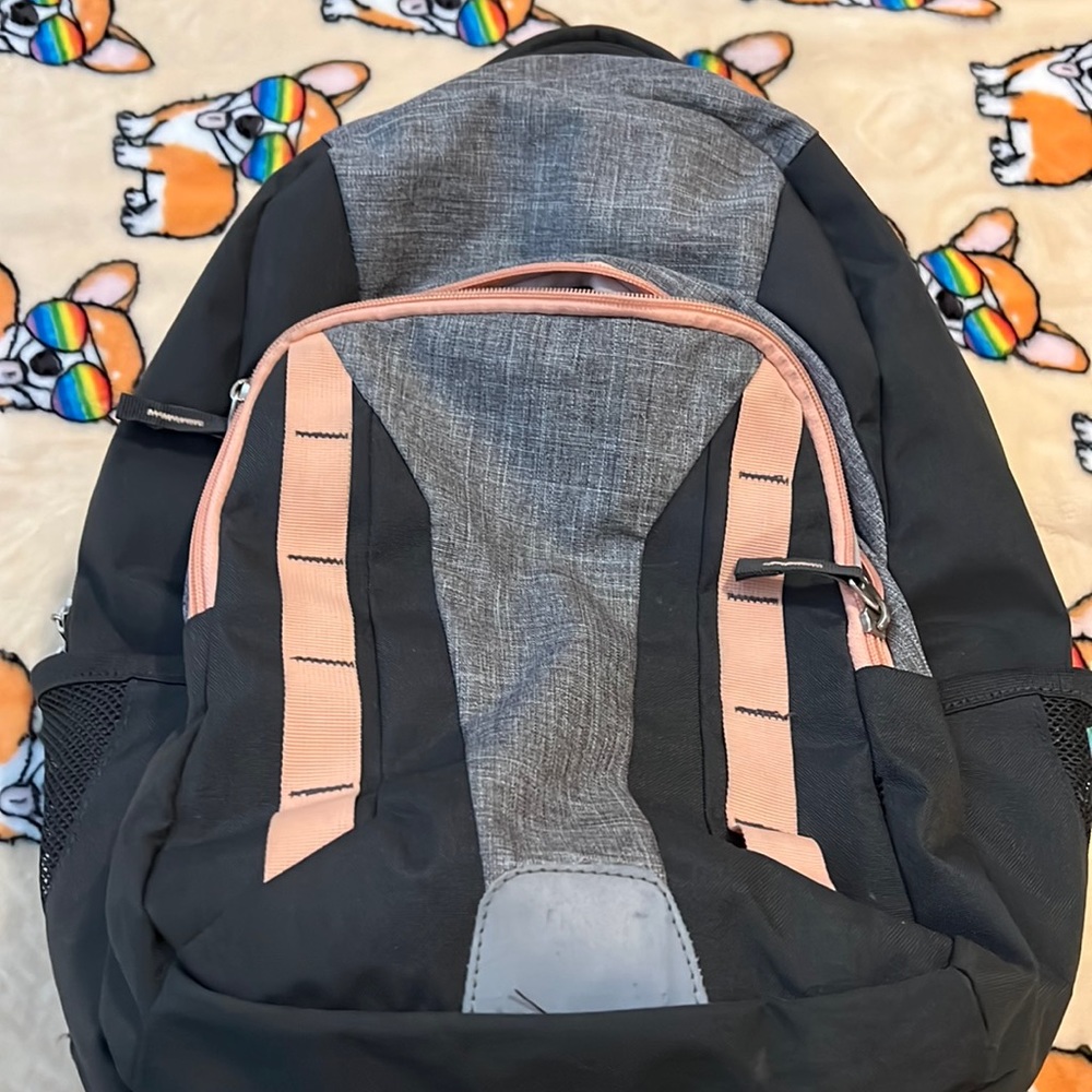 Grey/Salmon DSG backpack